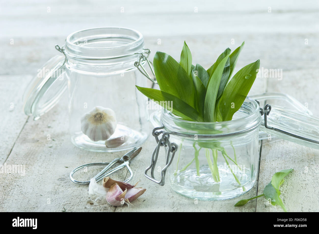 Fresh ramson Stock Photo