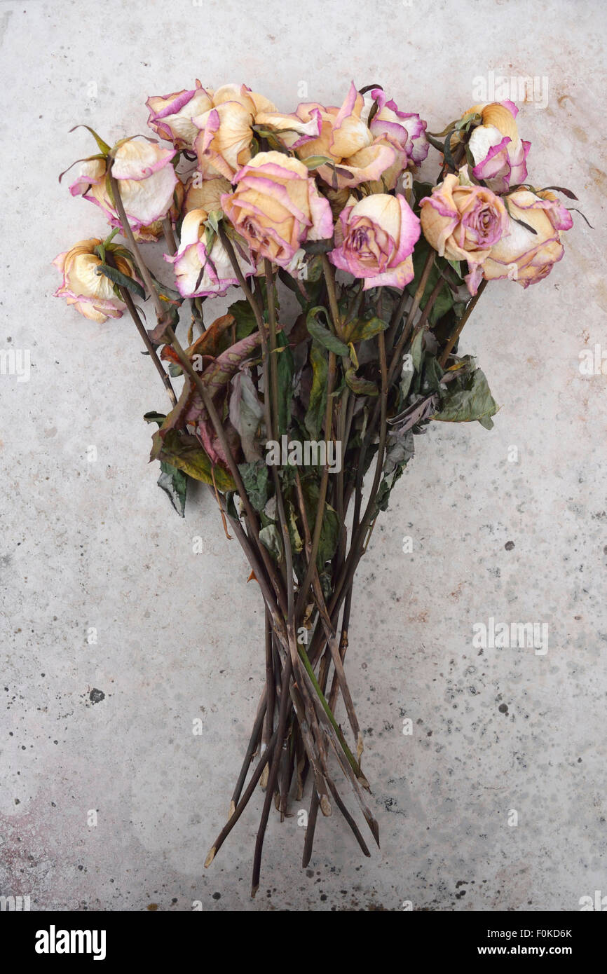 Shredded Roses Withered bunch of roses on a grey stone slab Stock Photo - Alamy