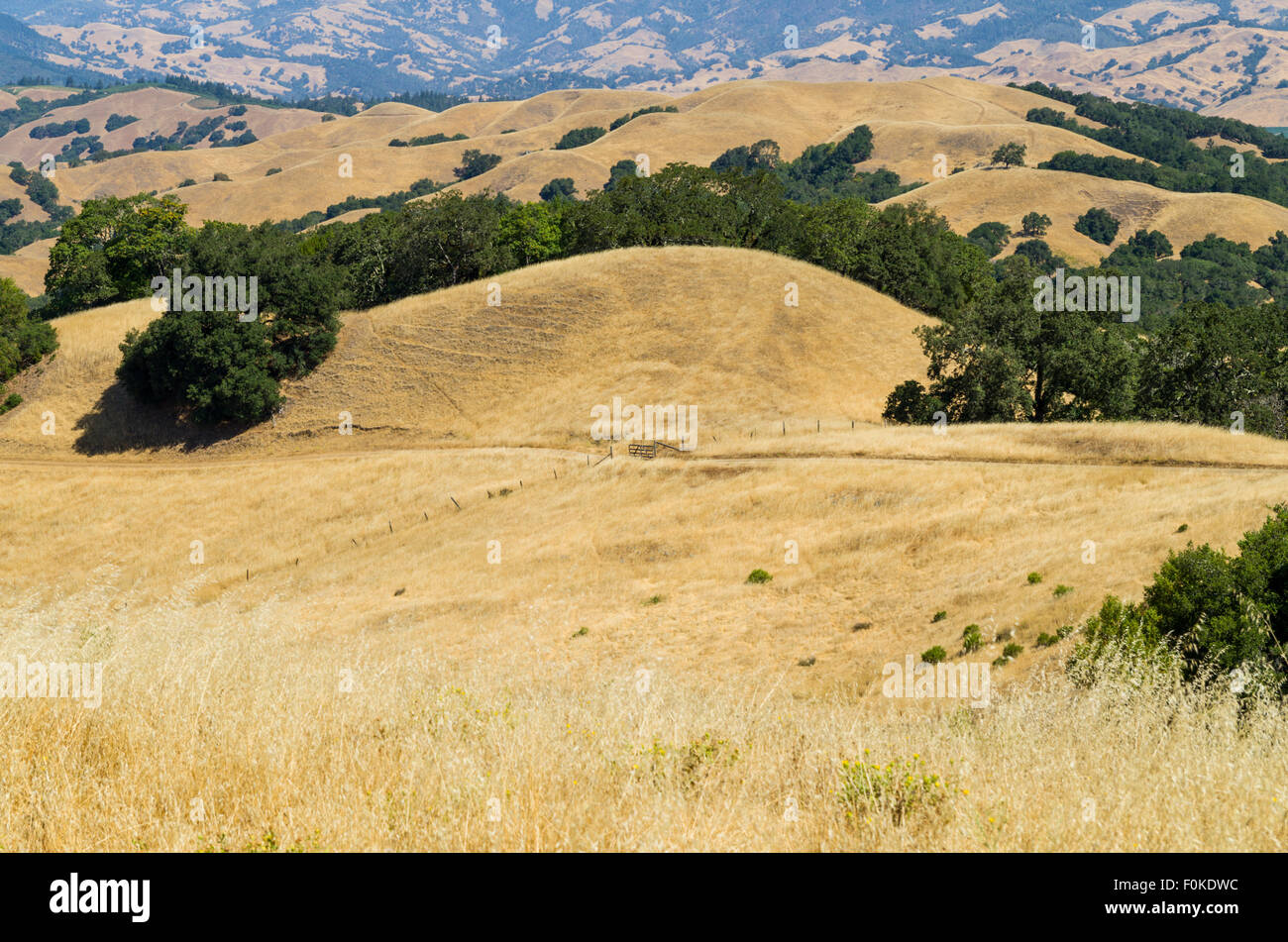 Pepperwood Presserve Santa Rosa and Healdsburg Sonoma County California Stock Photo