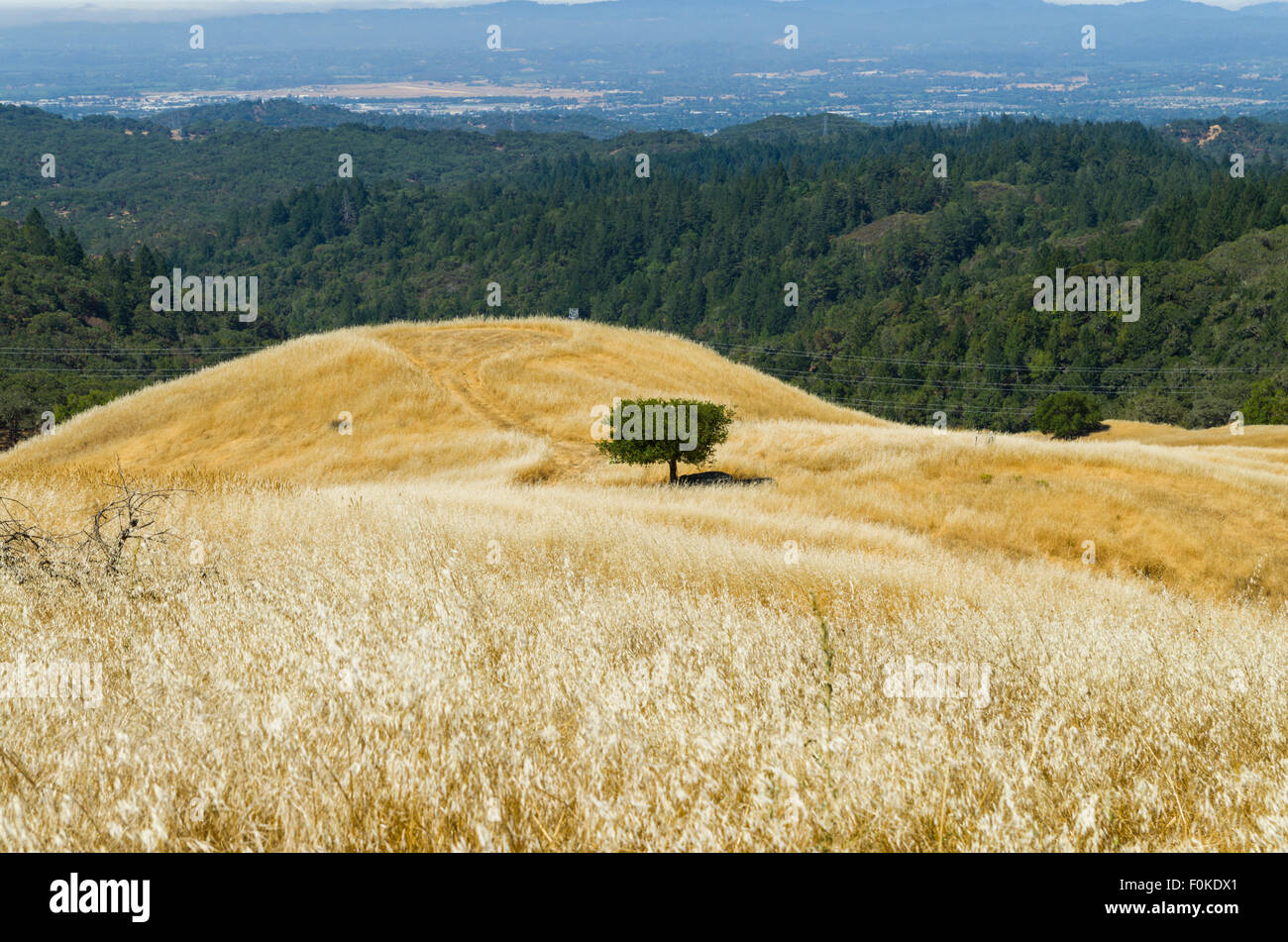 Pepperwood Presserve Santa Rosa and Healdsburg Sonoma County California Stock Photo