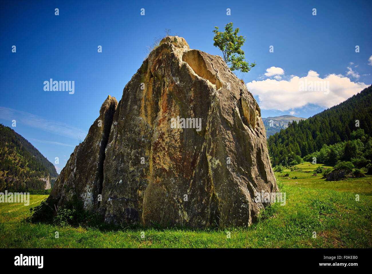 Big small hi-res stock photography and images - Alamy