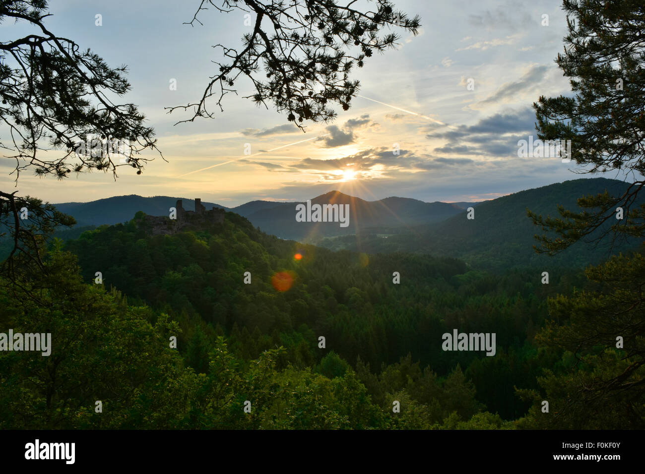 Germany, View to Palatinate Forest against the sun Stock Photo - Alamy