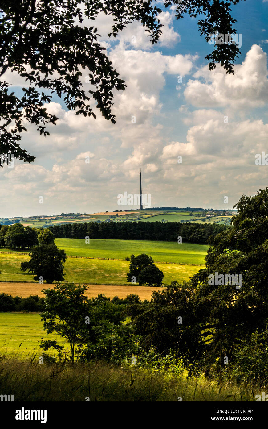 Emley Moor Transmitter seen from Oxley Bank, Yorkshire Sculpture Park. Stock Photo