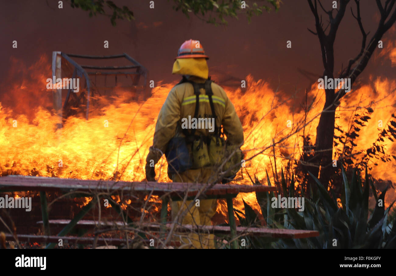 Aug 16, 2015. Angeles National Forest.Los Angeles County firefighters battle a 300 acre brush fire that burned six structures in the Angeles National Forest in Castaic Sunday afternoon.The blaze, dubbed the Warm Fire, was reported to be near Lake Hughes and Warm Springs roads. About 75 percent of the structures at Warm Springs Rehabilitation Facility were burned.Photo by Gene Blevins/LA DailyNews/ZumaPress © Gene Blevins/ZUMA Wire/Alamy Live News Stock Photo