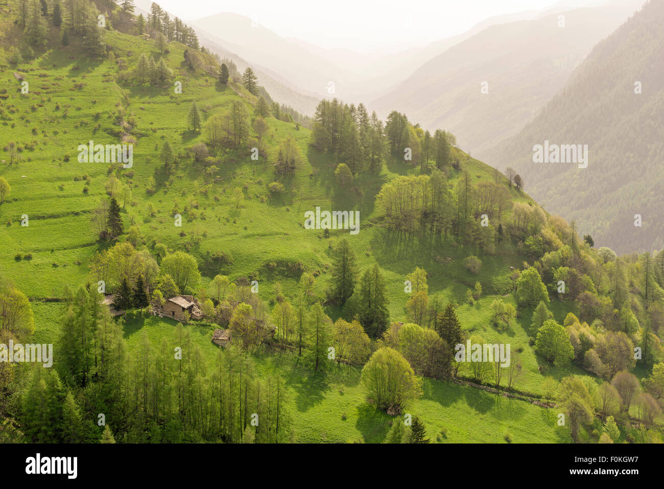Italy, Piemont, Val Bellino, single farmstead in the mountains Stock Photo