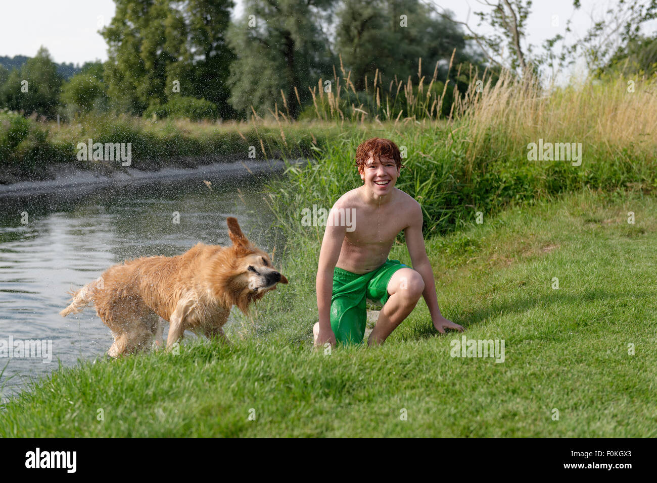 Smiling teenage boy and a Golden Retriever after bathing Stock Photo