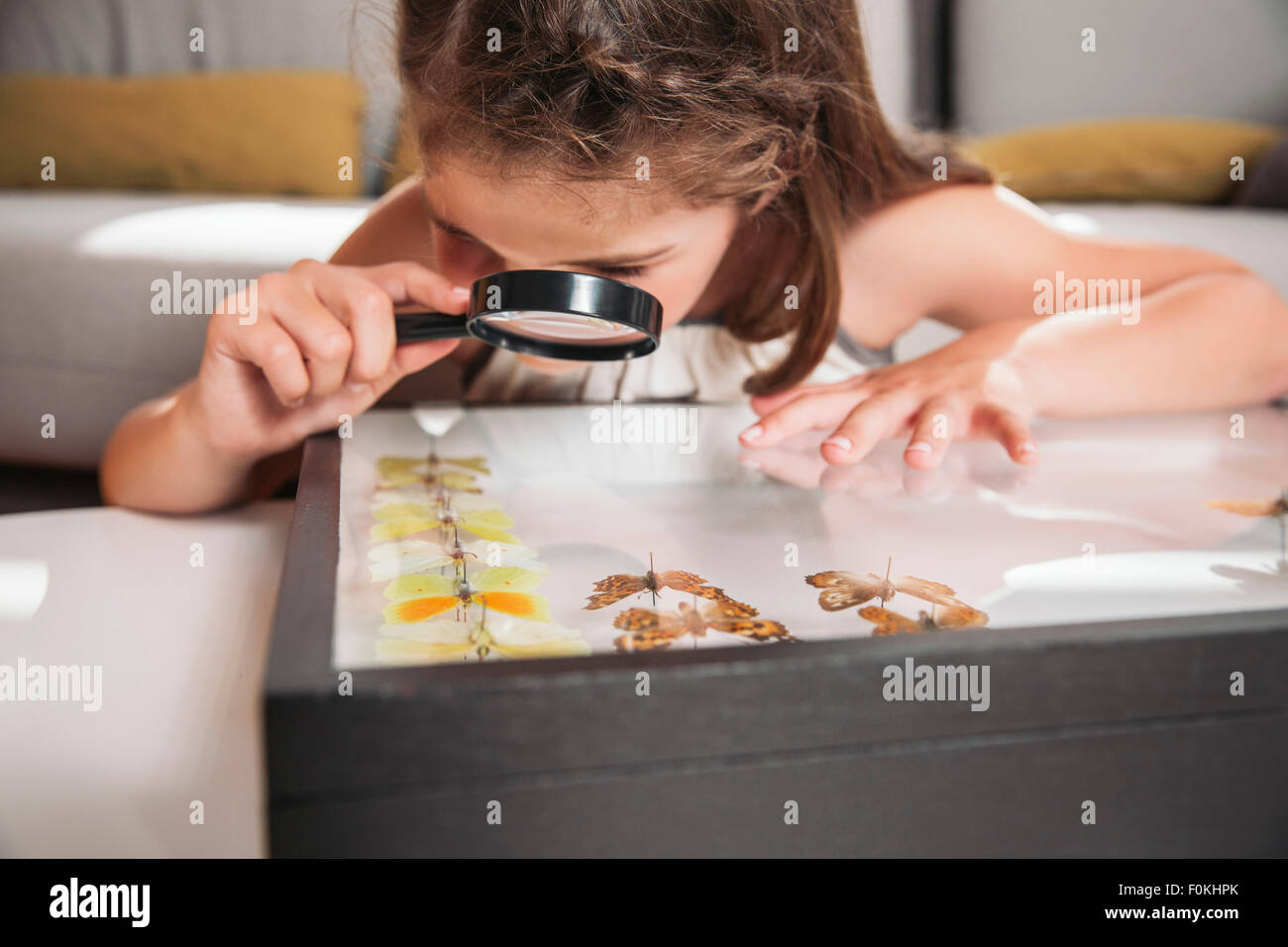 Girl looking at butterfly preparations with magnifying glasses Stock Photo