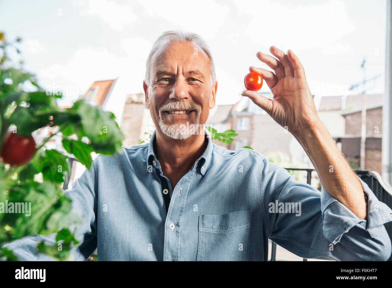 Portrait of senior man holding up a tomato from his balcony Stock Photo ...