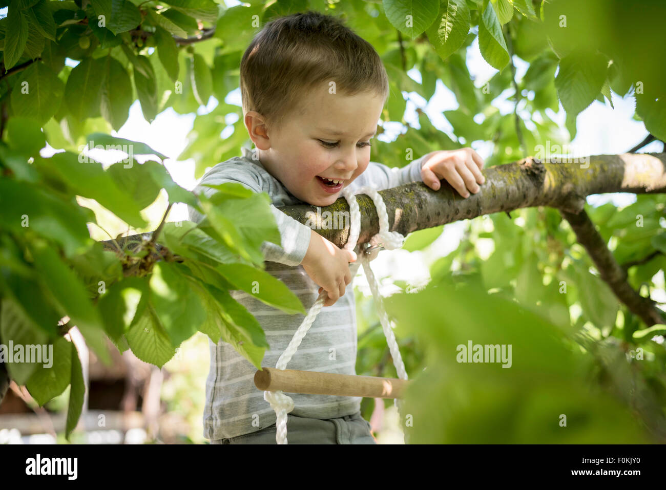 Lttle boy climbing up a rope ladder Stock Photo Alamy
