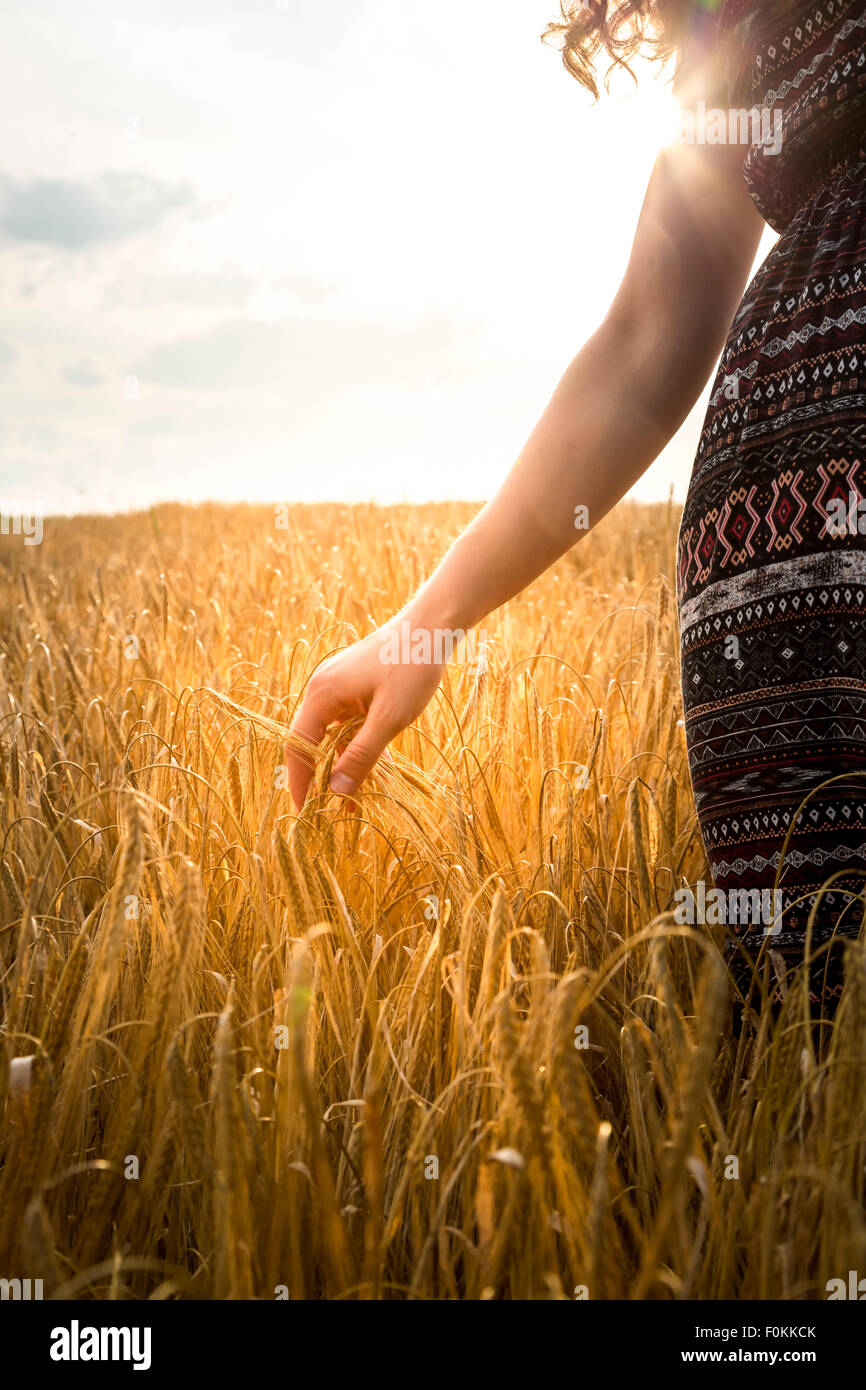 Barley Plant High Resolution Stock Photography and Images - Alamy