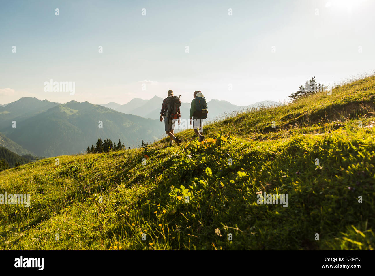 Austria, Tyrol, Tannheimer Tal, young couple hiking on alpine meadow in backlight Stock Photo