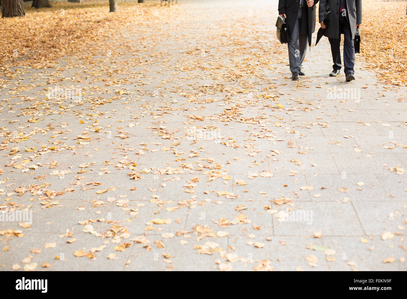 Two businessmen walking in park Stock Photo - Alamy