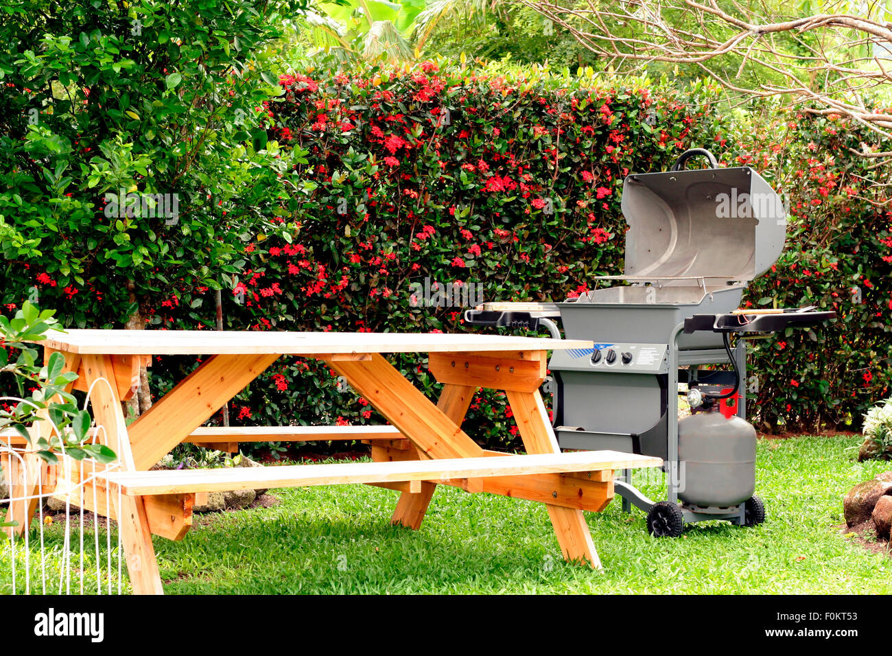 Picnic table and grill  set up for a family barbecue outdoors Stock Photo