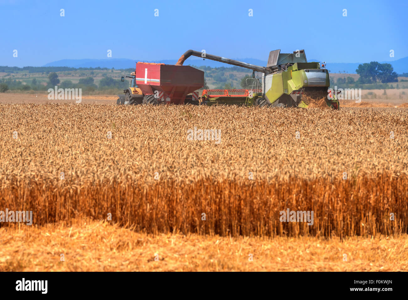 Amazing rural scene on autumn field with harvester and birds. Stock Photo