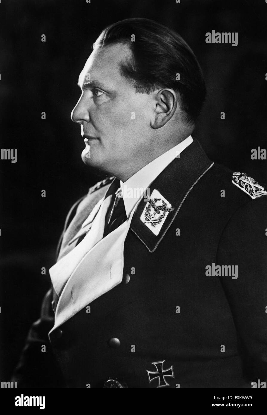 Goering, Hermann, 12.1.1893 - 15.10.1946, German politician (NSDAP), half length, as supreme commander of the Luftwaffe (German Air Force) wearing the uniform of a Field Marshal, 1938 / 1939, Stock Photo