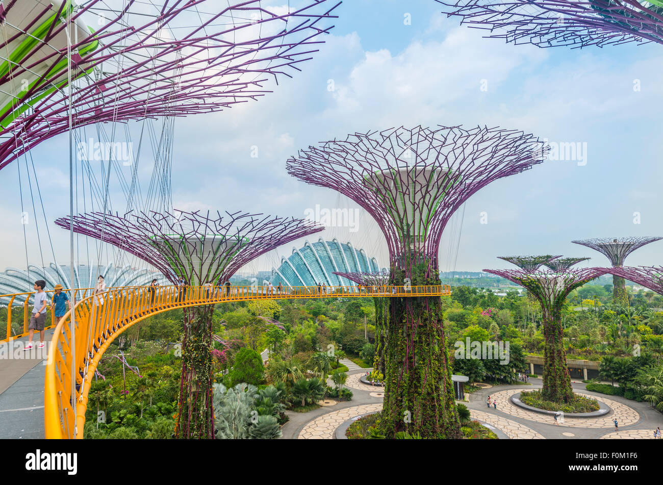 Supertrees, bridge between the giant trees, Supertree Grove, Gardens by