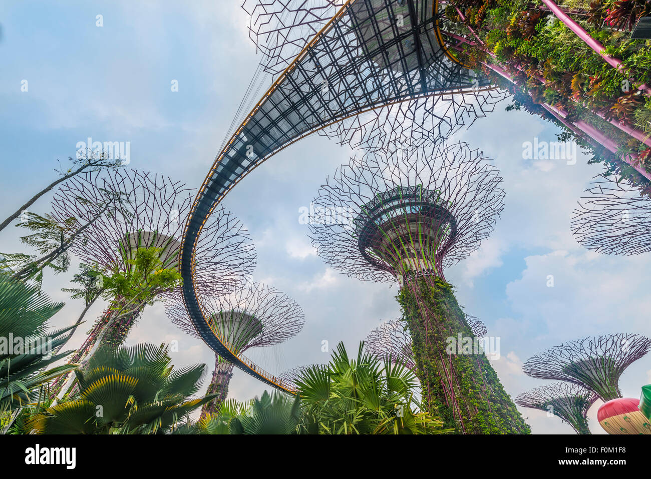 Supertrees, bridge between the giant trees, Supertree Grove, Gardens by ...