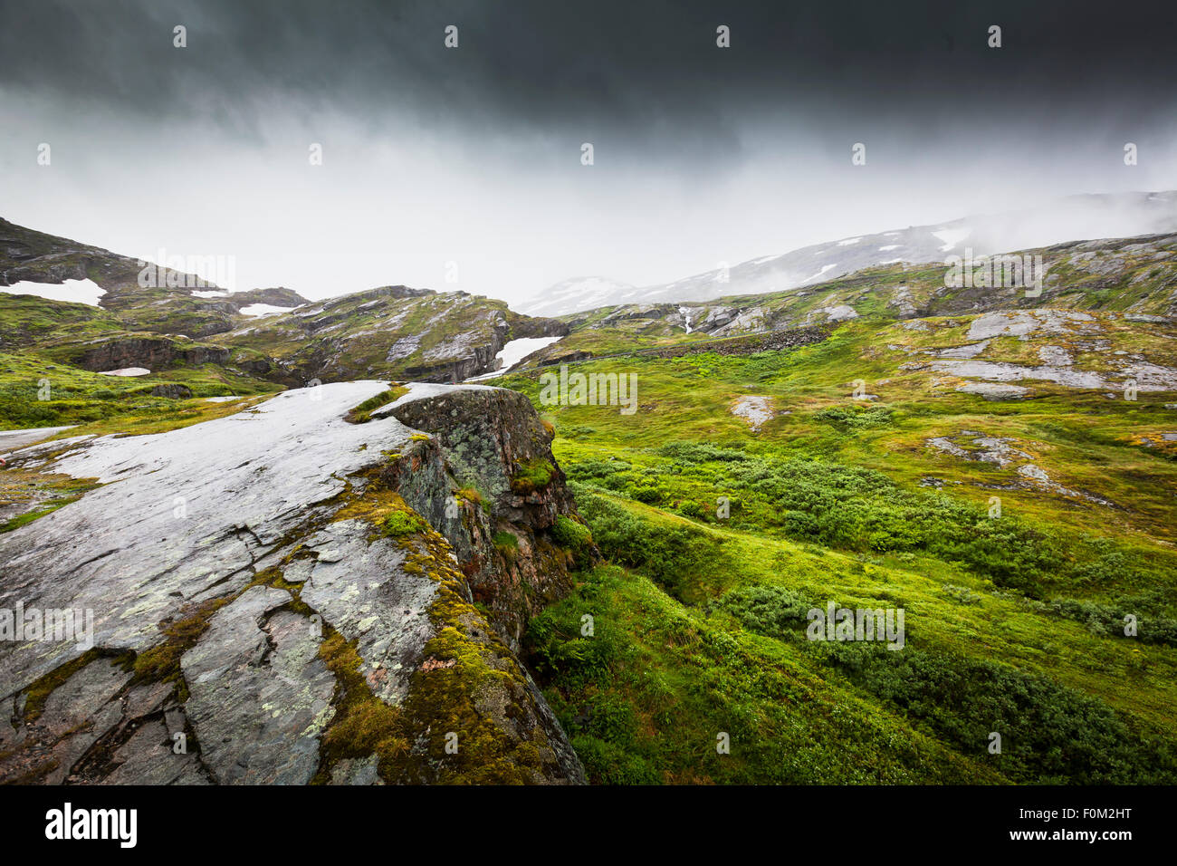 Misty plateau in the rain, Fjell, Norway Stock Photo