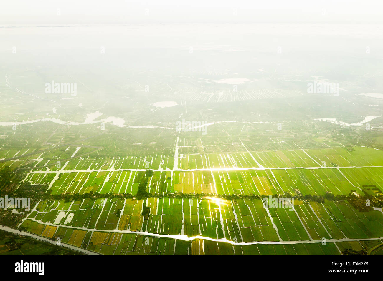 Aerial view of fields and canals in the backlight, Holland, Netherlands Stock Photo