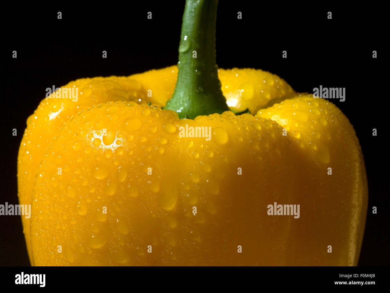 Paprika; Capsicum; annuum; Paprikaschote Stock Photo Alamy