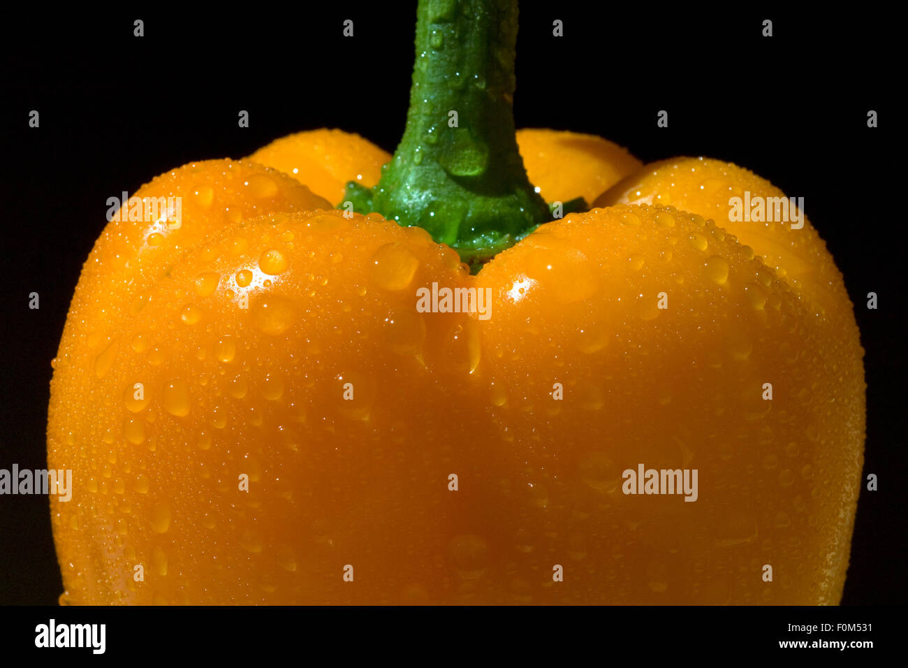 Paprika; Capsicum; annuum; Paprikaschote Stock Photo Alamy