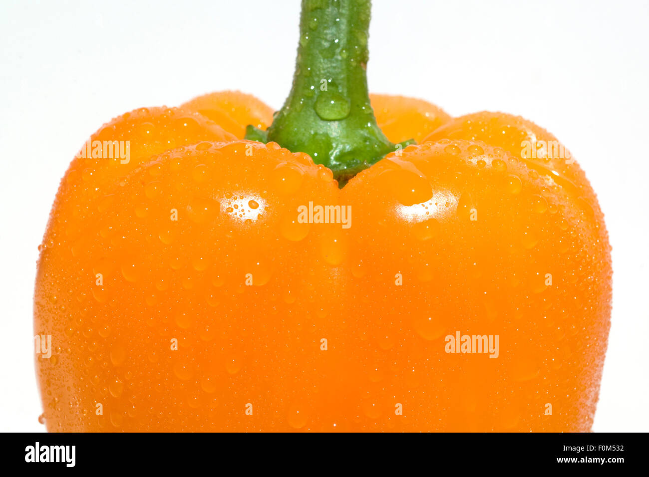 Paprika; Capsicum; annuum; Paprikaschote Stock Photo Alamy