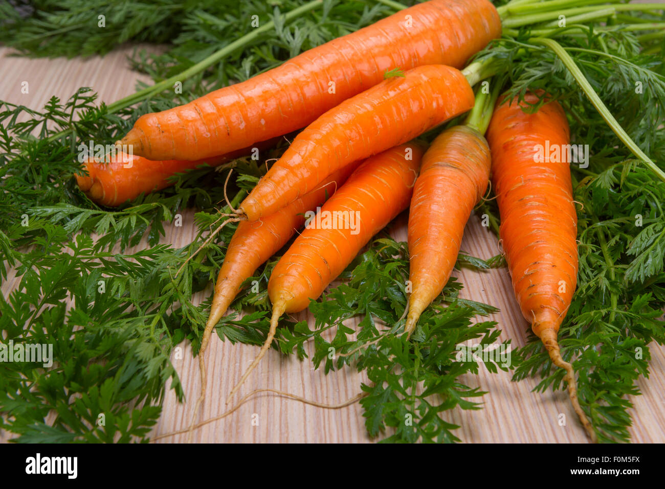 Fresh carrots with tops of vegetable on the wooden table Stock Photo