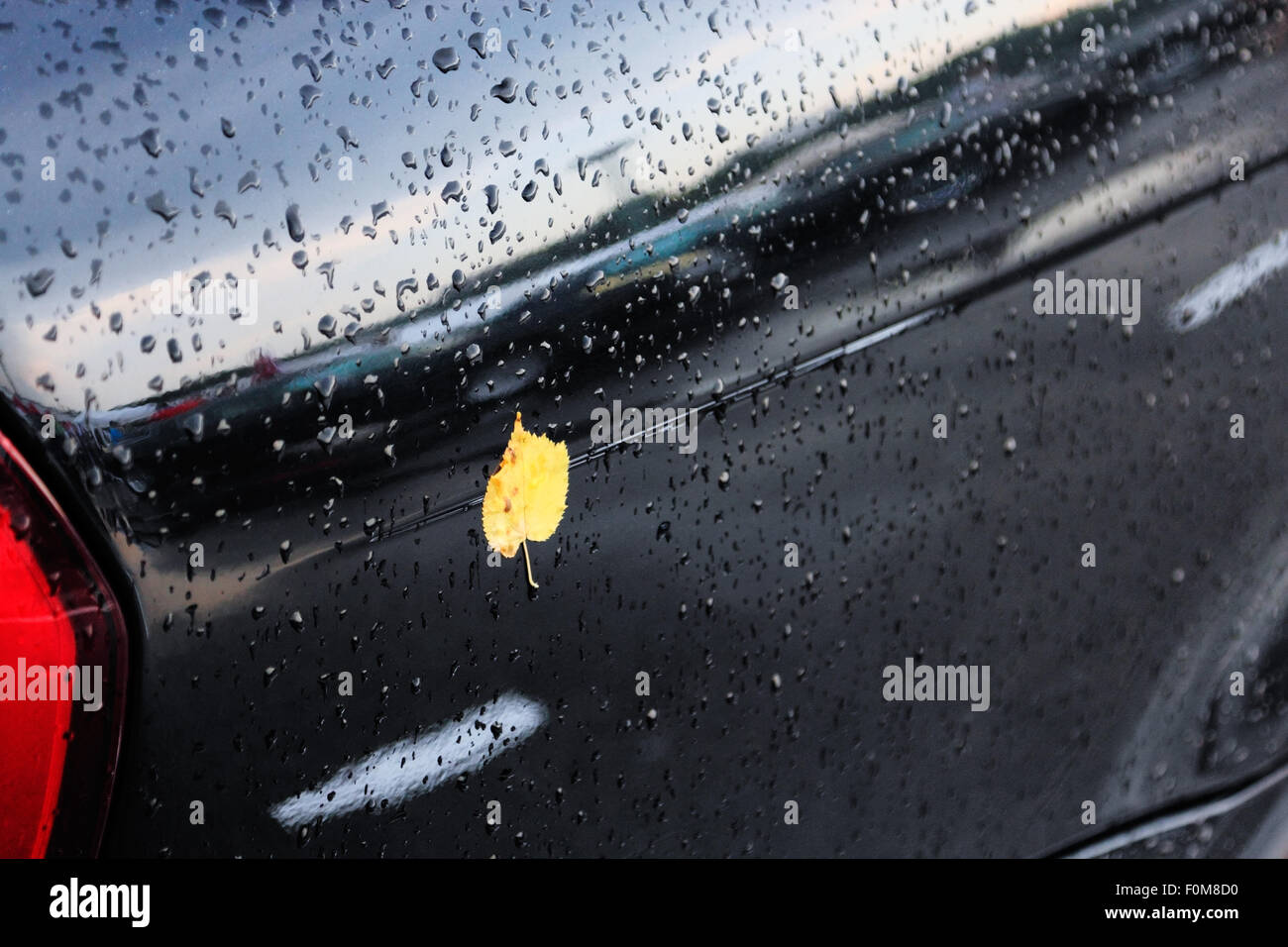 Car rain nobody hi-res stock photography and images - Alamy
