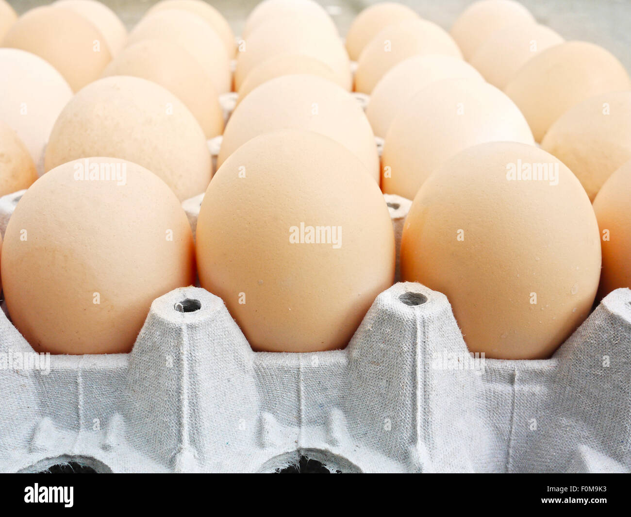 Brown eggs in a flat carton fresh from the farm Stock Photo