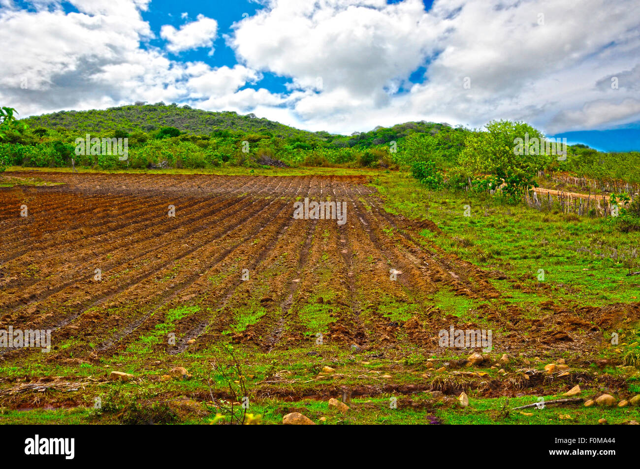 Rural scene of a farm field getting ready to be planted Stock Photo