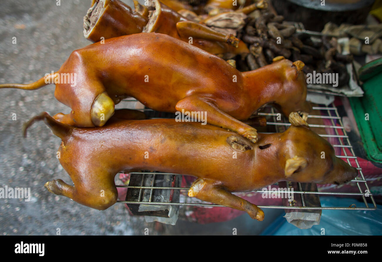 Dog is a delicacy in Vietnam Stock Photo