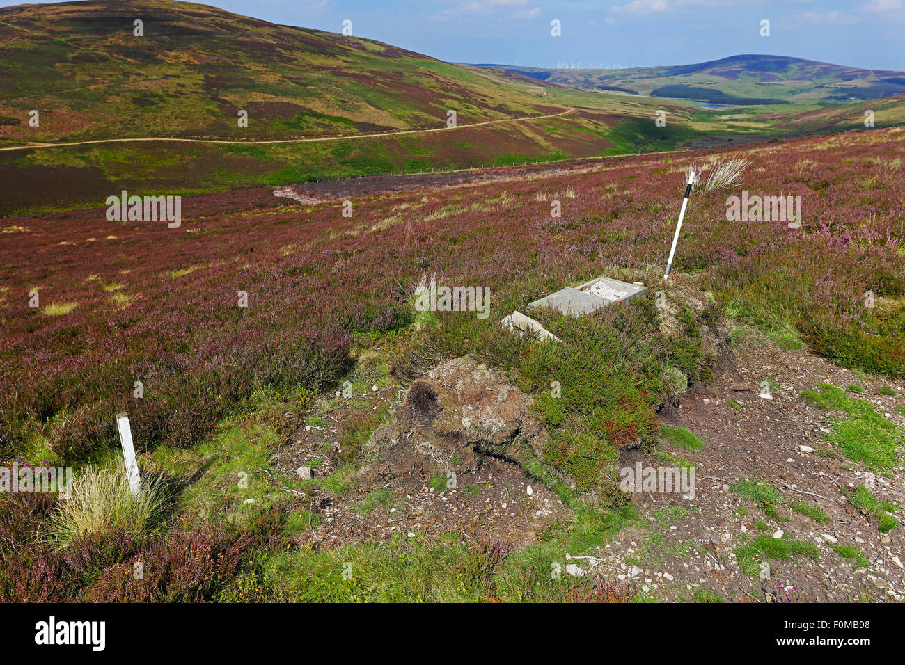 Grouse grit station on the lammermuirs. Stock Photo