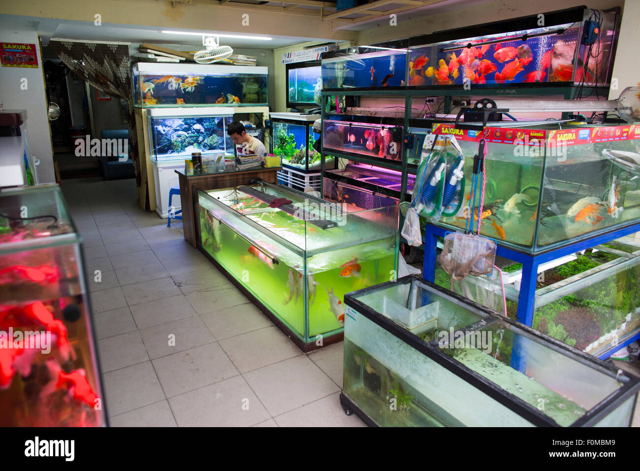 fishtanks shop in Hanoi, Vietnam Stock Photo
