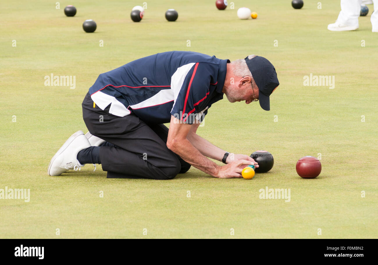 Judging the Distance.  Umpire at work Stock Photo