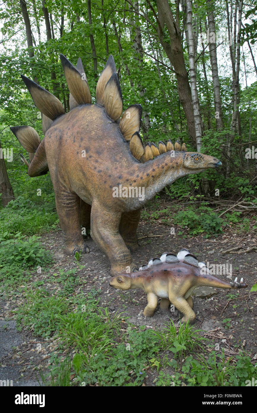 Stegosaurus was a large extinct Jurassic herbivore Dinosaurier Park Germany  Stock Photo - Alamy