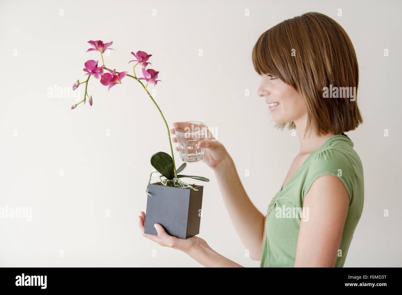 Young woman holding a plant in a studio Stock Photo - Alamy