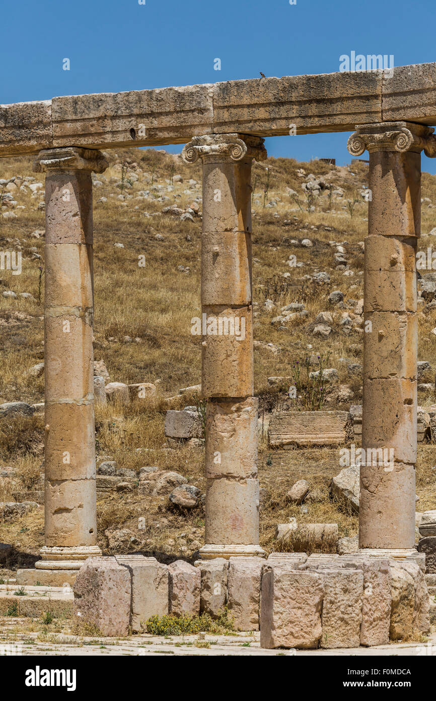 columns of forum, Jerash, Jordan Stock Photo