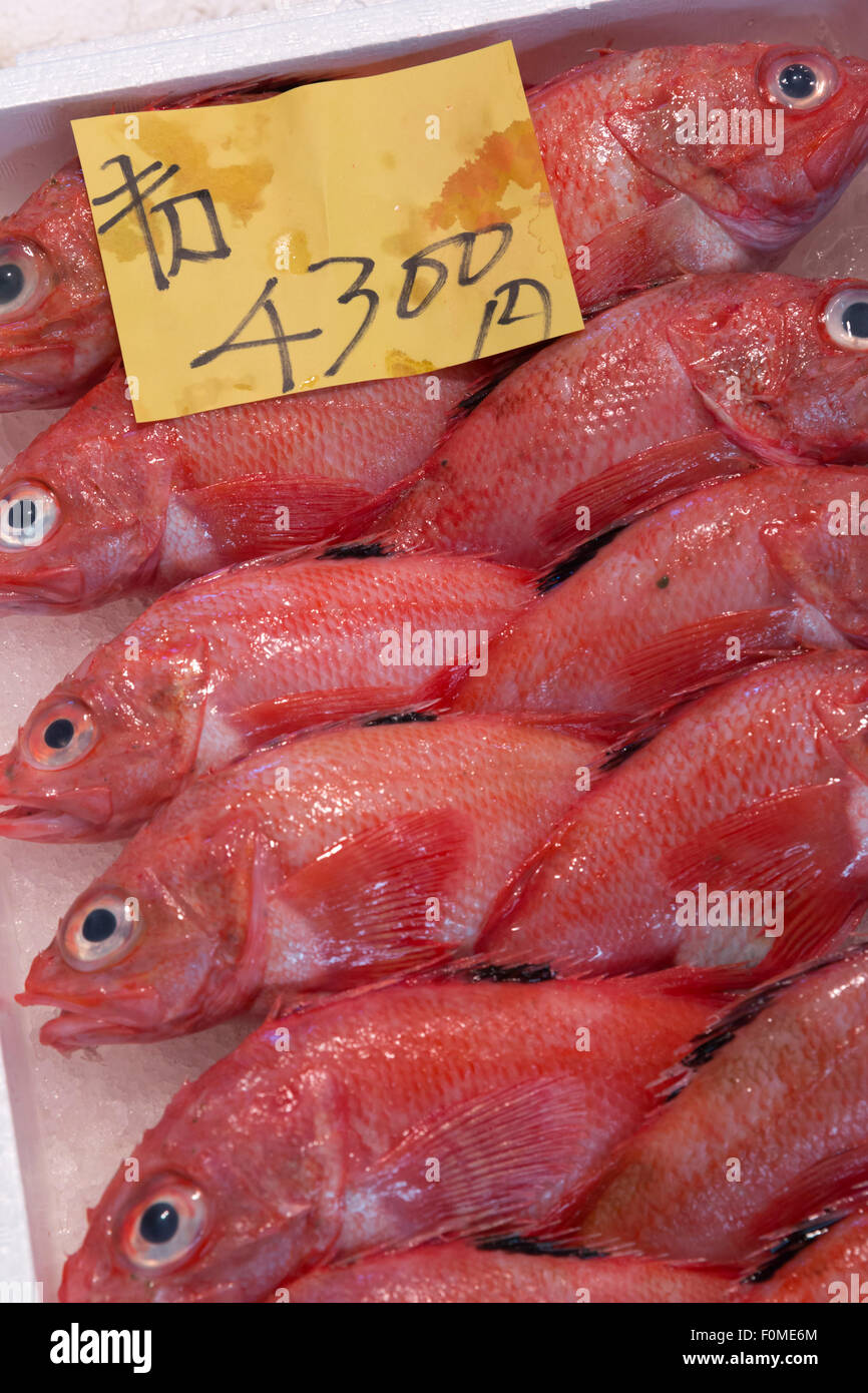 Tsukiji fish market, Chuo, Tokyo, Japan, Asia Stock Photo