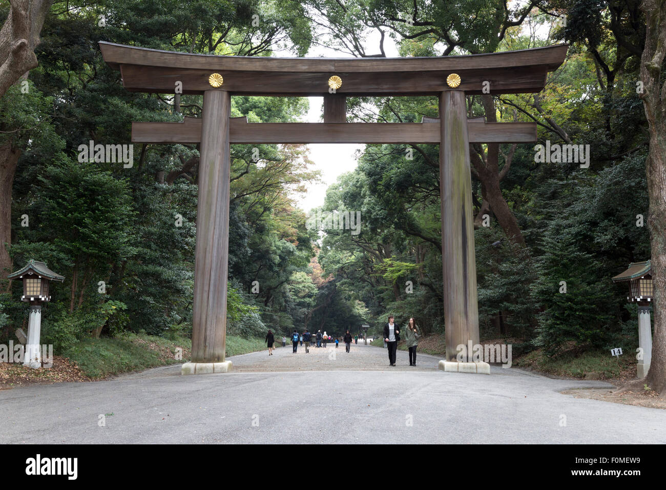Torii leading to the Meiji Shrine complex, Meiji Jingu shrine, Shibuya, Tokyo, Japan, Asia Stock Photo