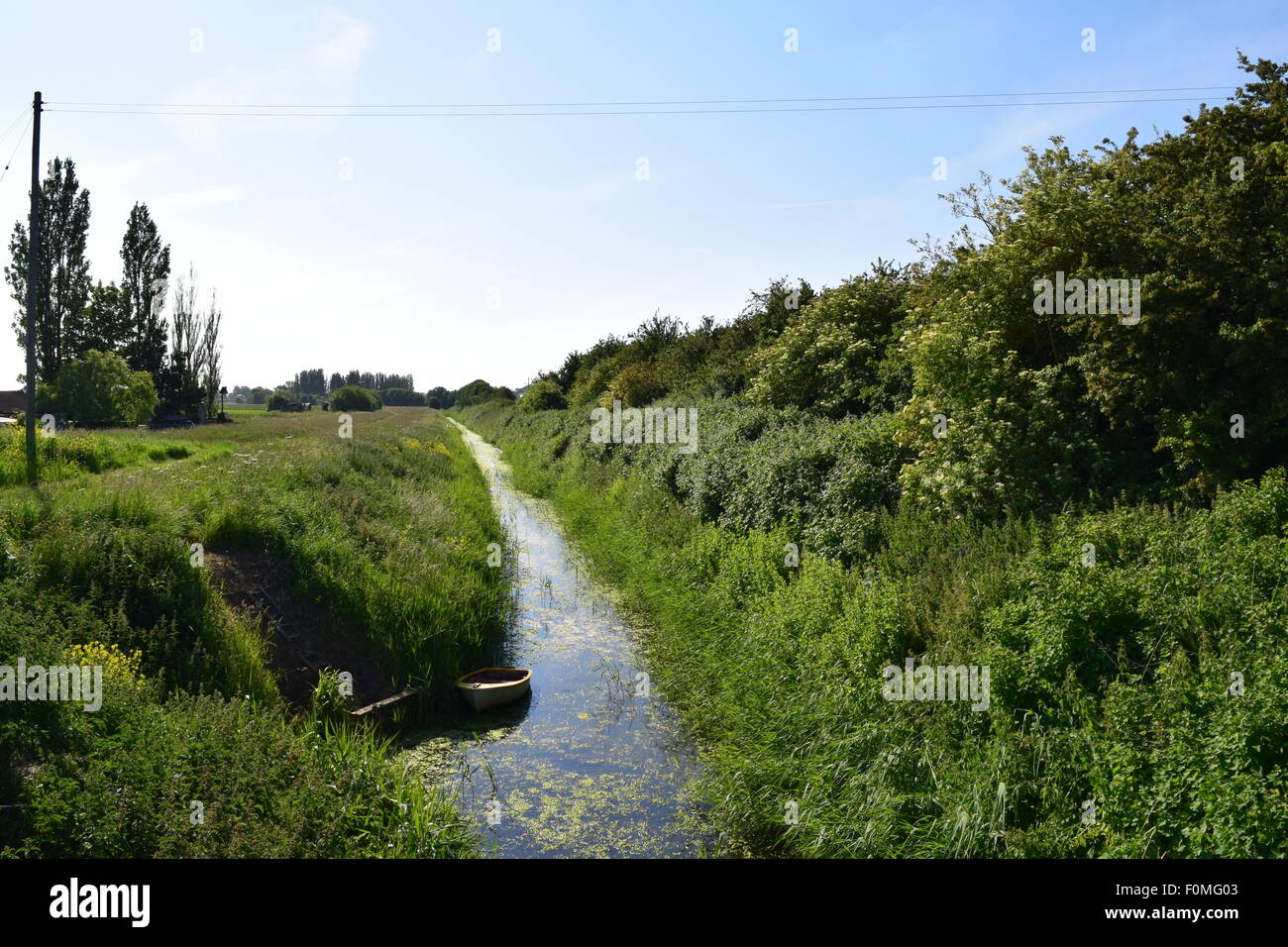 A View of an overgrown dike in Wisbech, Cambridgeshire. Stock Photo