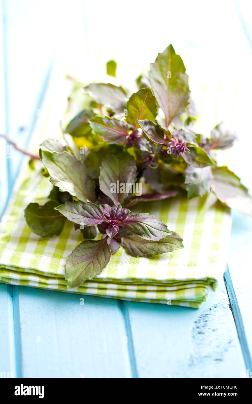bunch of basil on kitchen table Stock Photo - Alamy