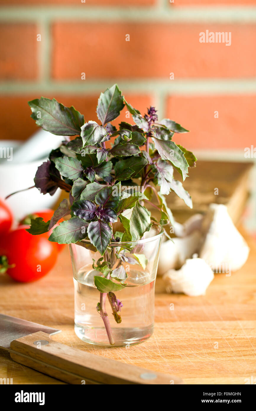 bunch of basil on kitchen table Stock Photo - Alamy