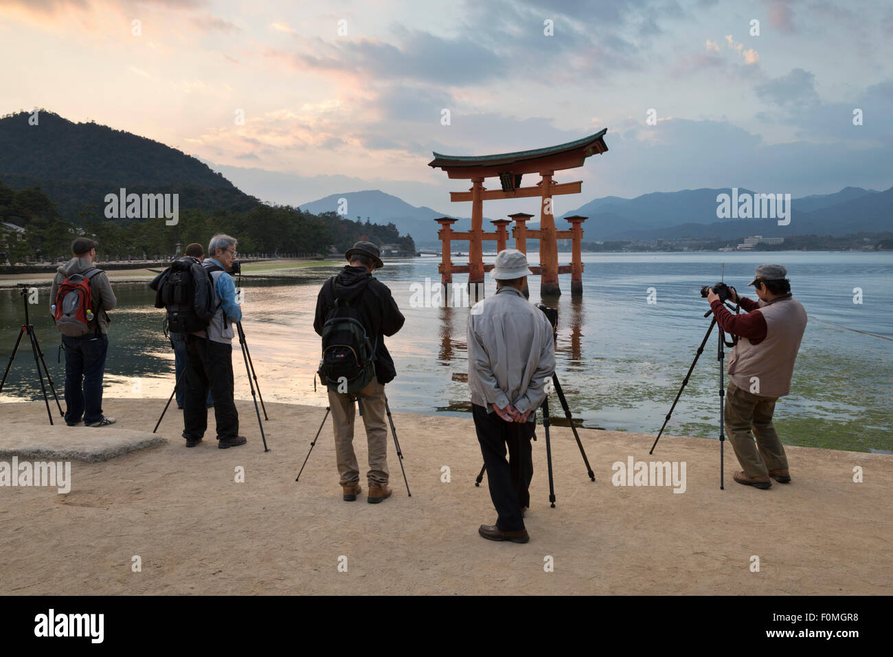 Photographers snapping the floating Miyajima torii gate of Itsukushima Shrine at sunset, Miyajima Island, Western Honshu, Japan Stock Photo