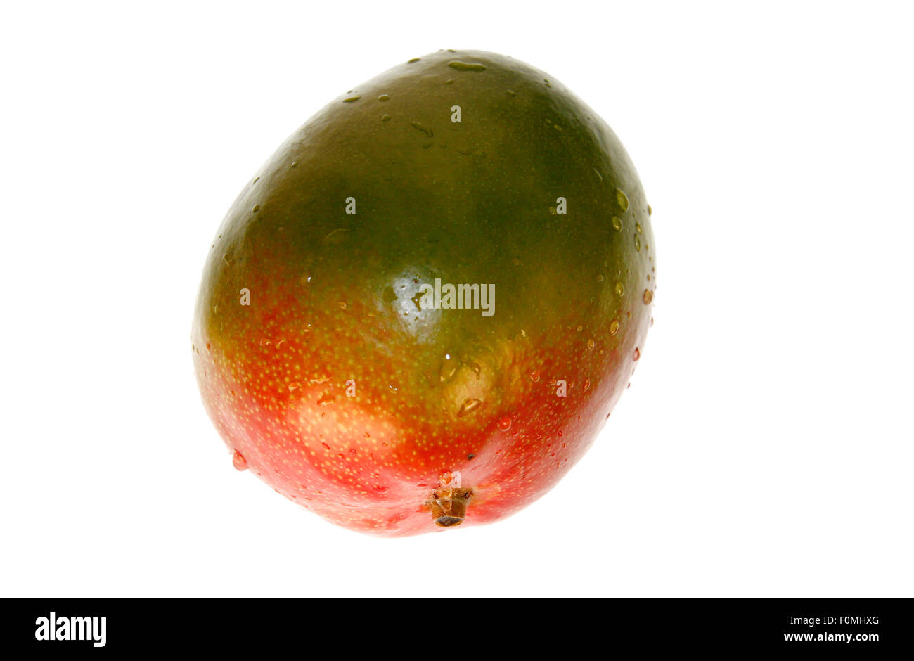 Mango - Symbolbild Nahrungsmittel.- Stock Photo