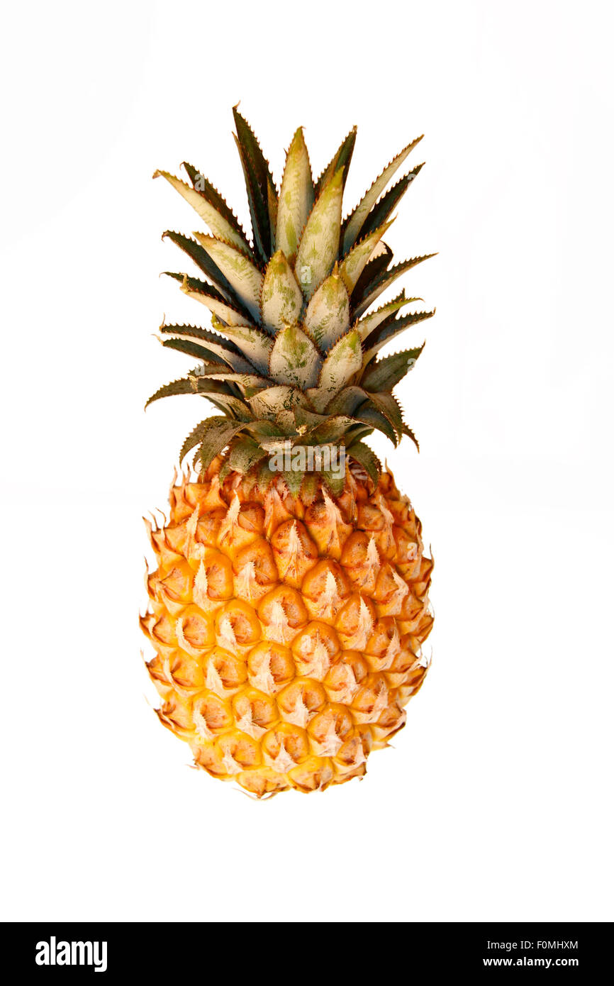 Ananas hires stock photography and images Alamy