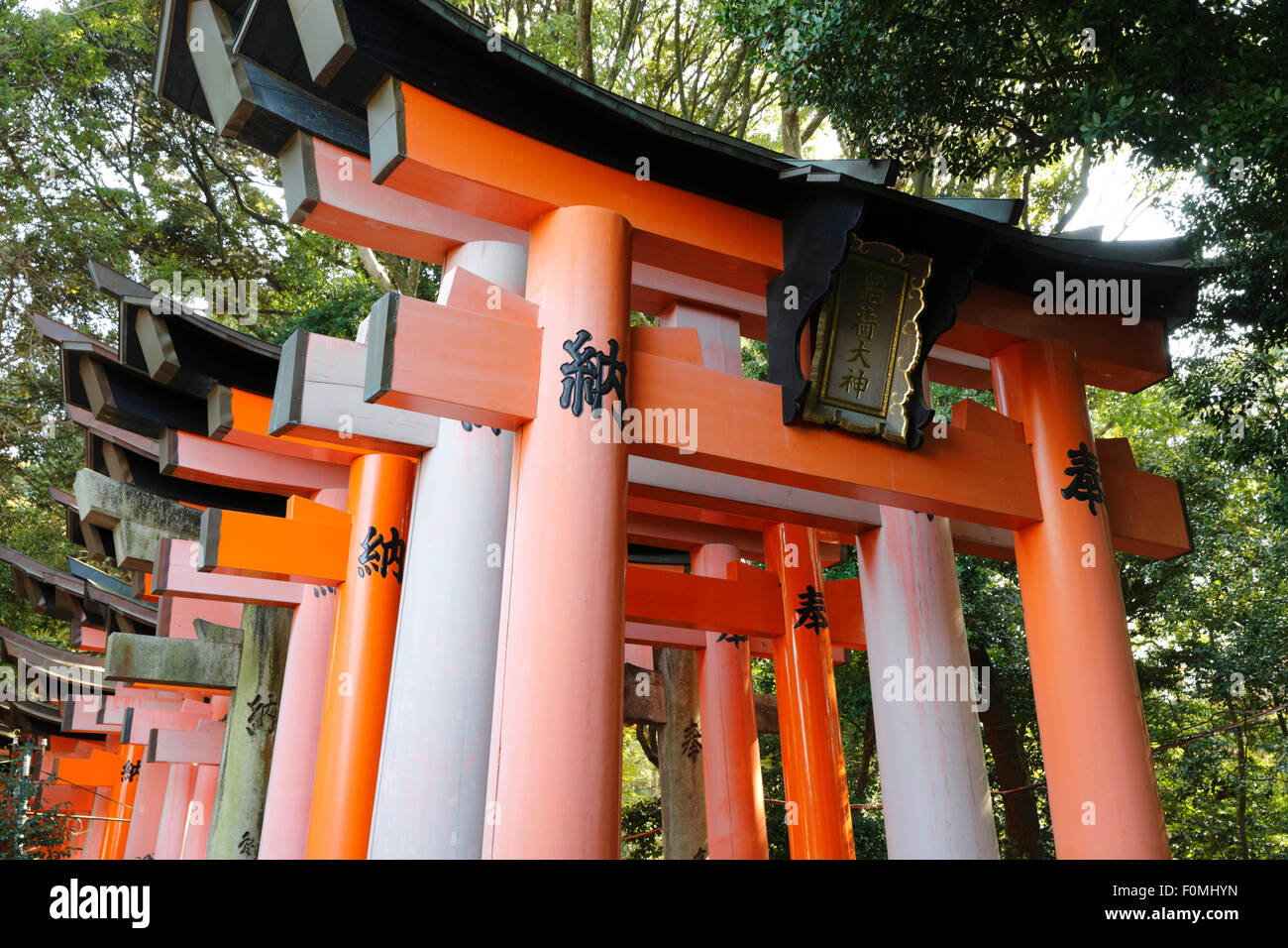 Senbon Torii (1,000 Torii gates), Fushimi Inari Taisha shrine, Kyoto, Japan, Asia Stock Photo