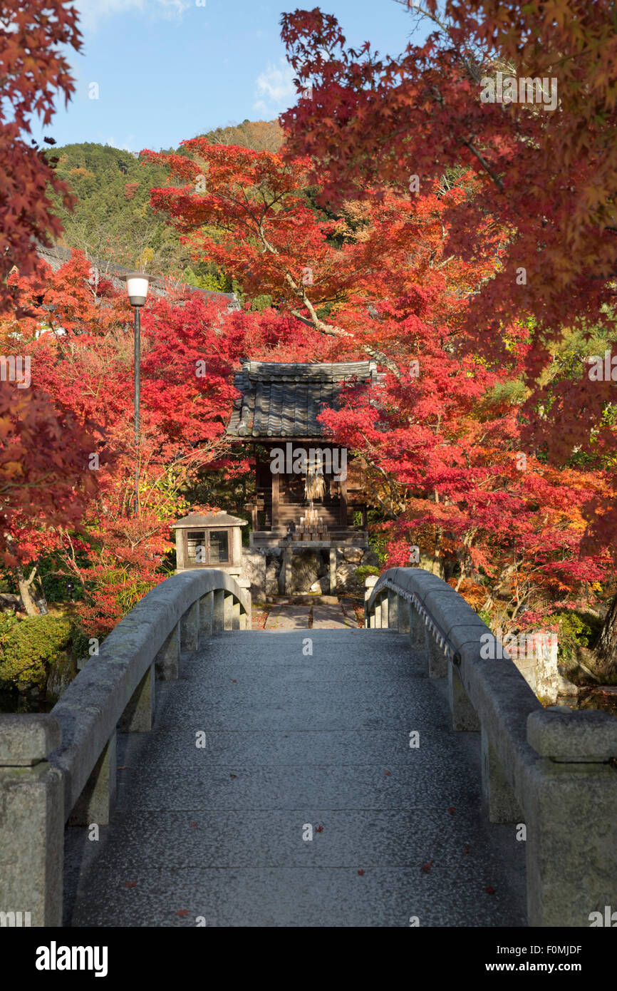 Bridge over the pond in autumn, Eikan-do Temple (Buddhist Temple), Northern Higashiyama, Kyoto, Japan, Asia Stock Photo