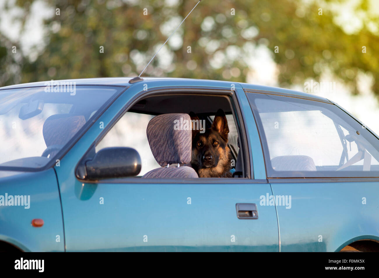 Road trip hot dogs hi-res stock photography and images - Alamy