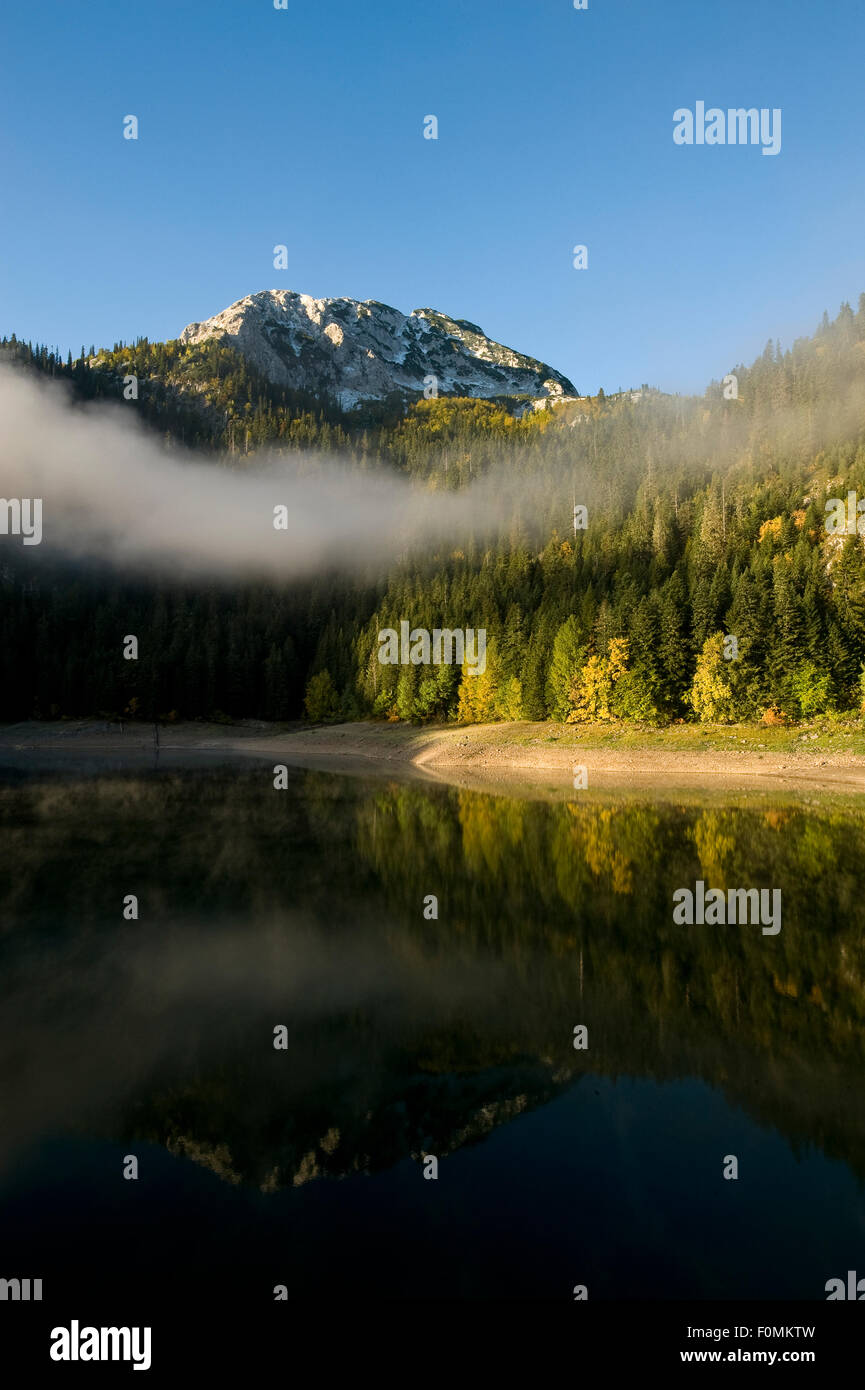 Bear Mountain Durmitor National Park Hi res Stock Photography And bear-mountain-durmitor-national-park-hi-res-stock-photography-and