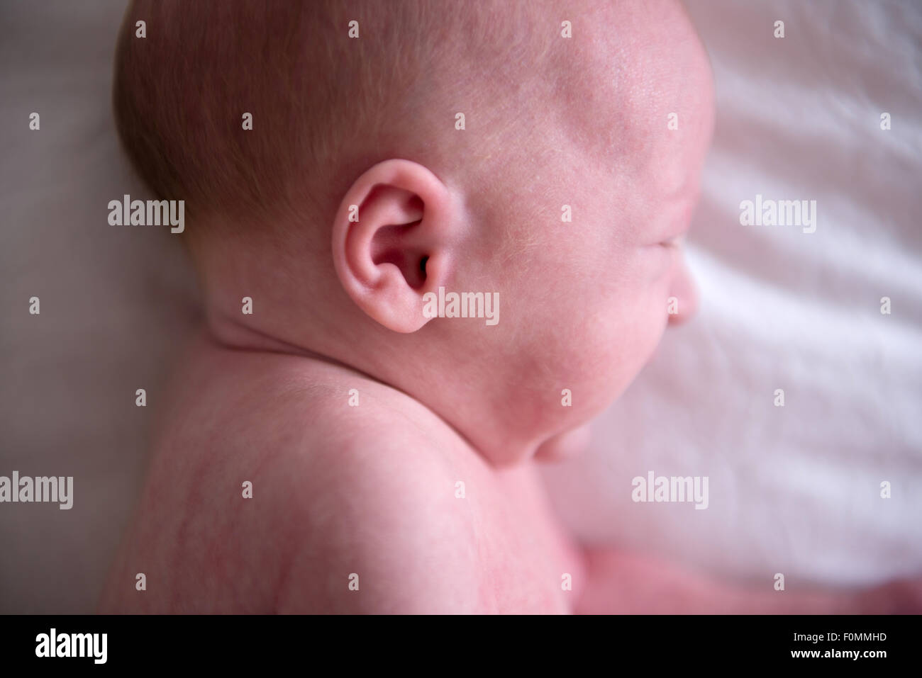 new born baby boy ear Stock Photo